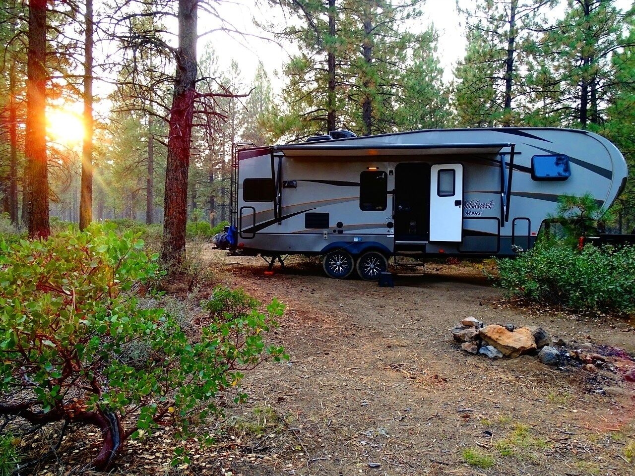 Boondocking at it's finest.

#camping #boondocking #nationalforest #nature #roadtrip #rv #rvlife 