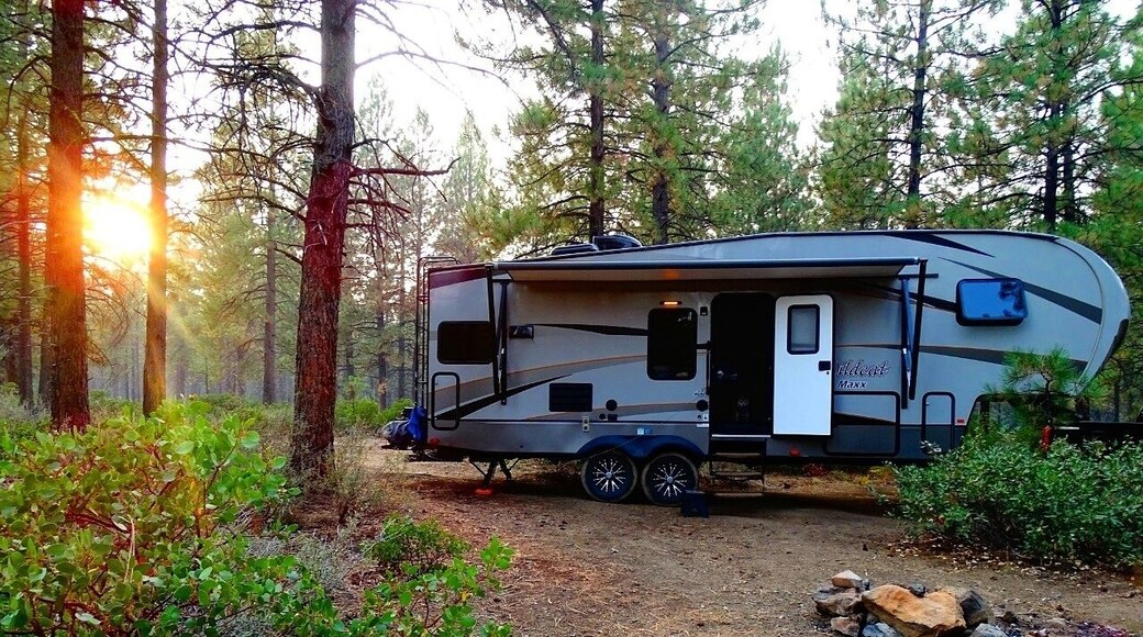 Boondocking at it's finest.
#camping #boondocking #nationalforest #nature #roadtrip #rv #rvlife