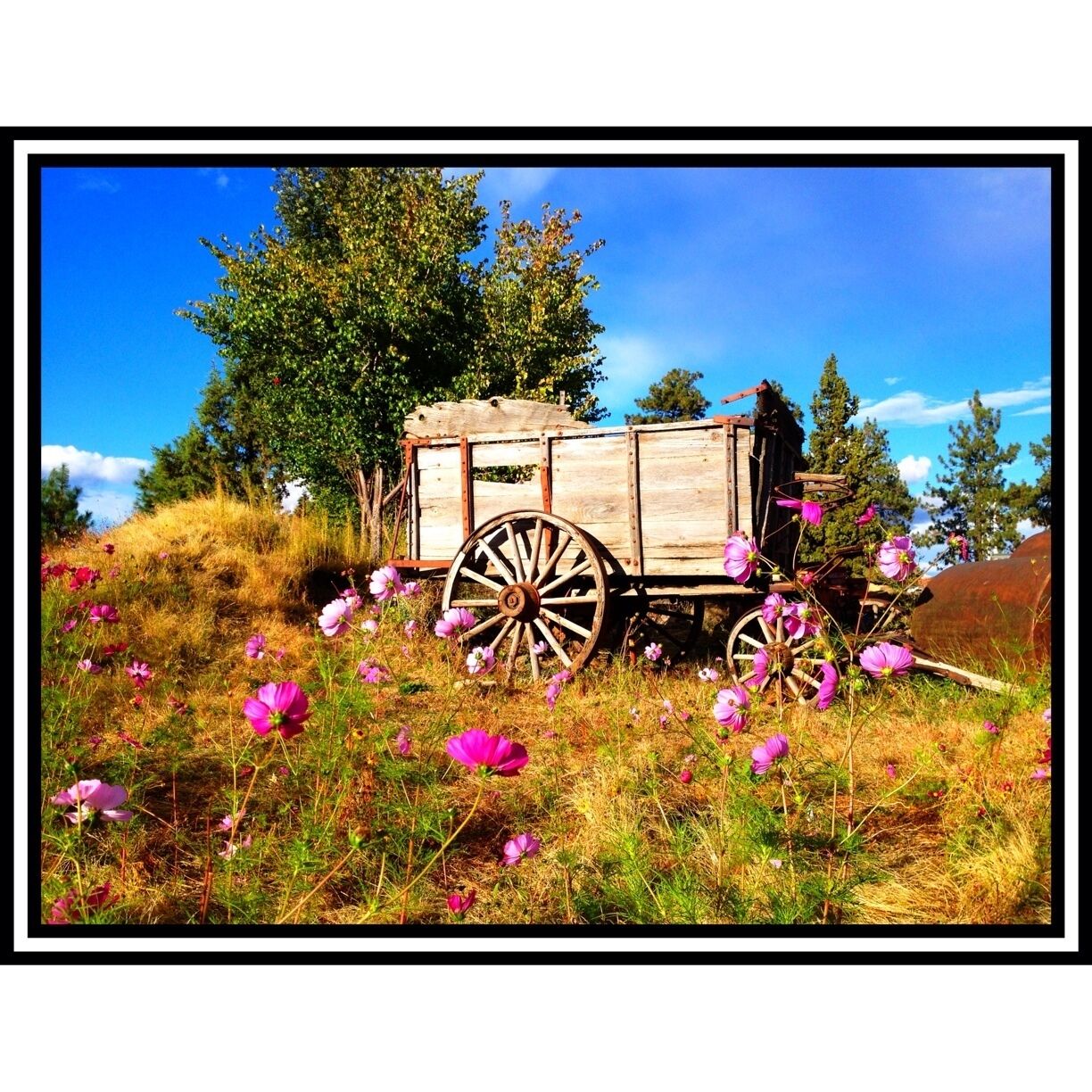 Near the footbridge.