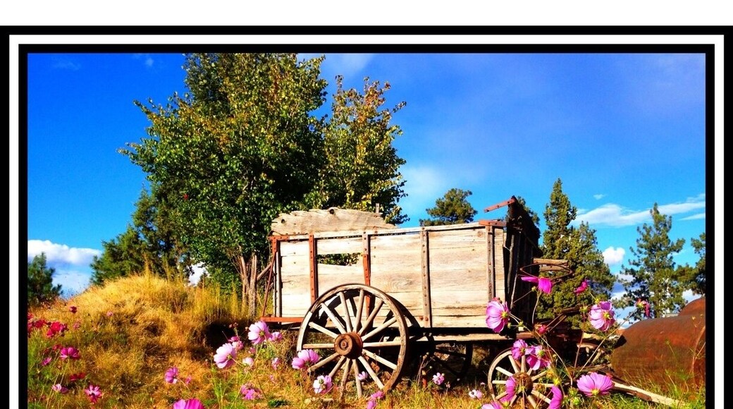 Near the footbridge.