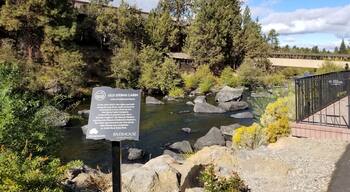 Fun little bit of history to be found.