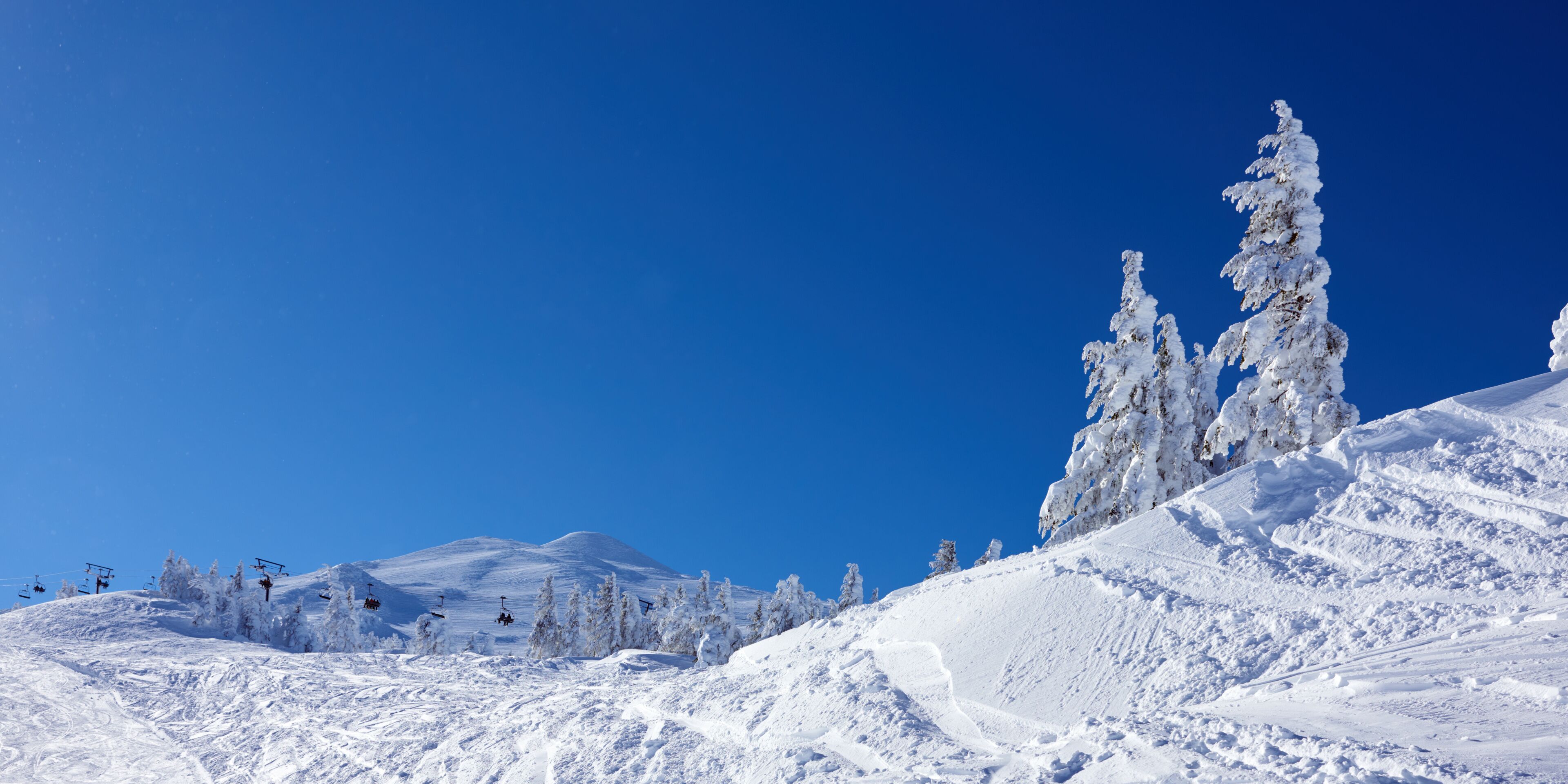 Pendiente nevada de una montaña con telesillas y árboles cubiertos de nieve.
