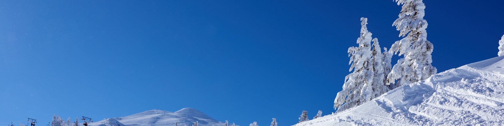 Pendiente nevada de una montaña con telesillas y árboles cubiertos de nieve.