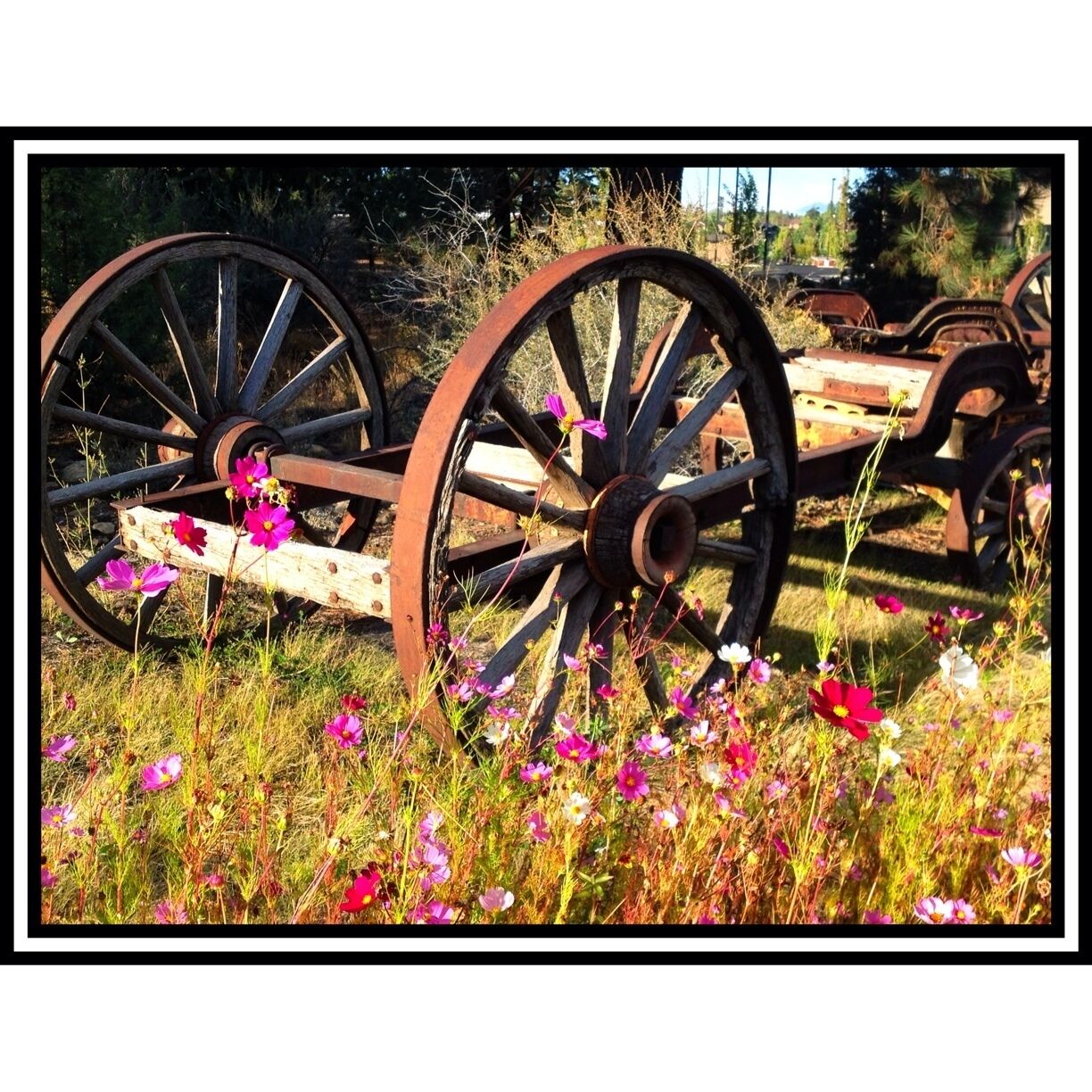 Next to the Hampton Inn and the footbridge is a vacant lot with old machinery and wildflowers.