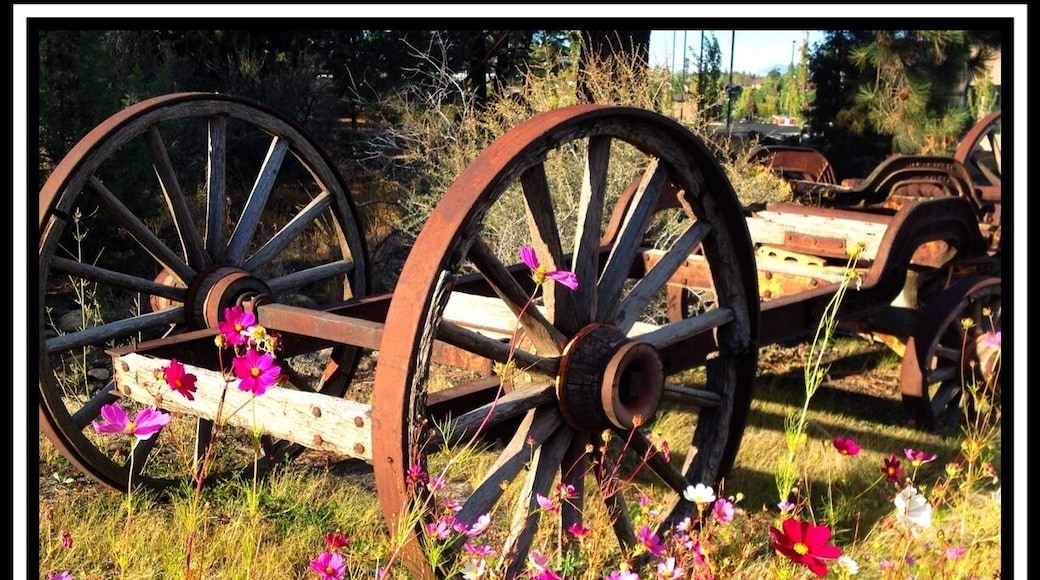 Next to the Hampton Inn and the footbridge is a vacant lot with old machinery and wildflowers.