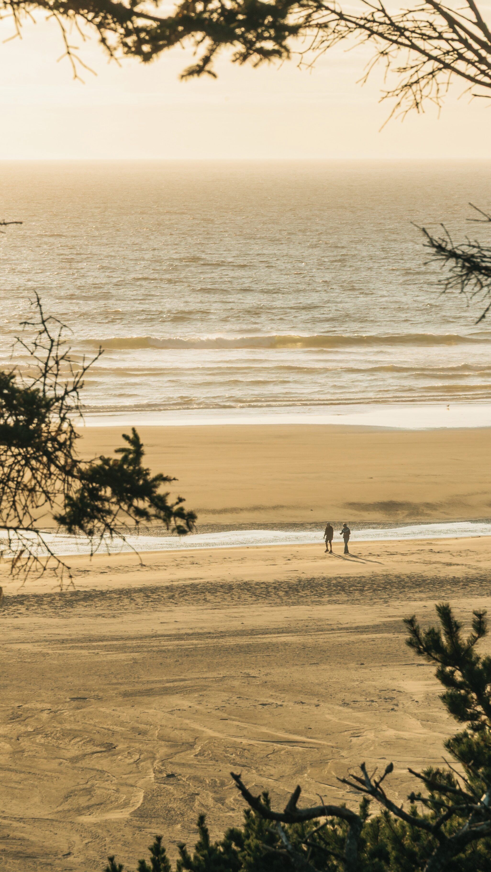 Couple walking along the beach at Yaquina Bay State Park during sunset in Newport, Oregon