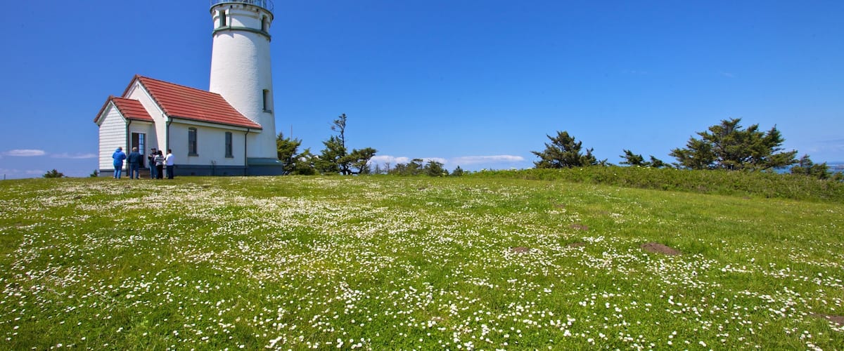 A lighthouse with a red roof and white walls, surrounded by a grassy field with white flowers, under a clear blue sky.