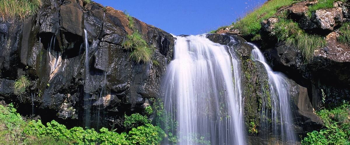 A waterfall cascading down a rocky cliff surrounded by lush greenery.