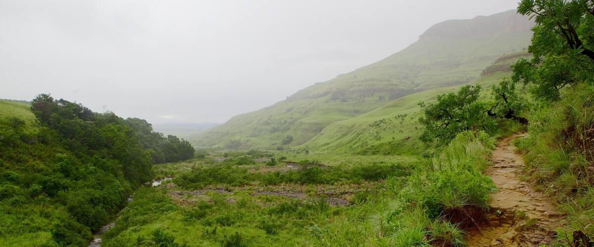 Monts Drakensberg montrant panoramas, montagnes et riviĂšre ou ruisseau