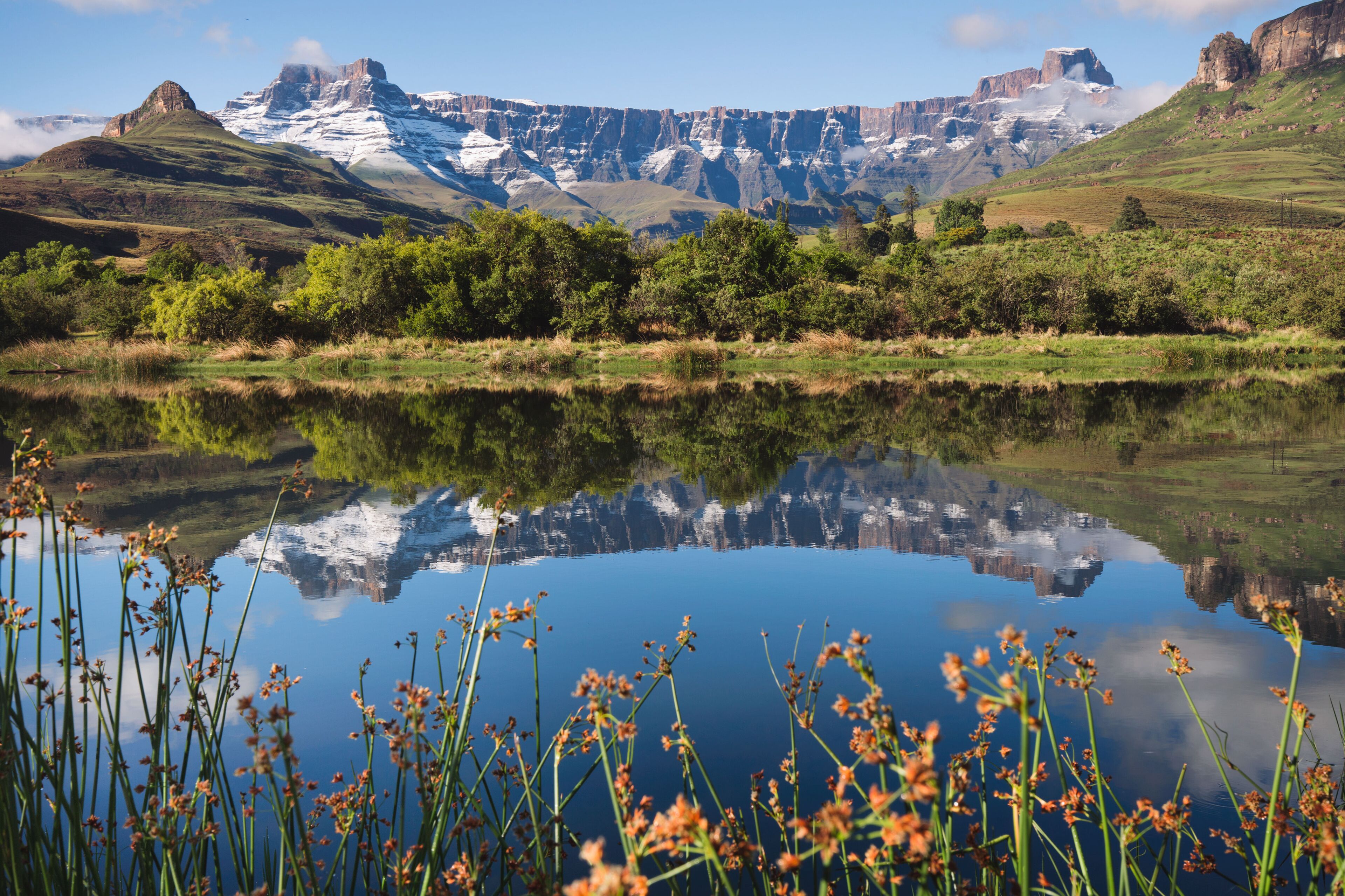 A calm lake reflecting mountains and greenery.