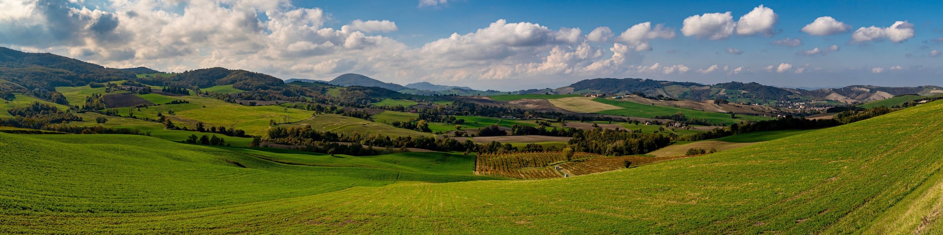 The hills of Casatico in autumn, Langhirano, Parma, Emilia Romagna, Italy