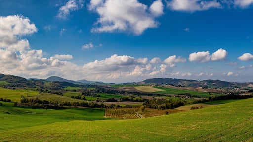 The hills of Casatico in autumn, Langhirano, Parma, Emilia Romagna, Italy