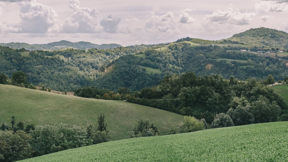 Des collines verdoyantes et ondulées, de vastes forêts et des bâtiments situés au loin, sur le sommet d’une colline.