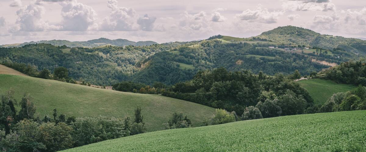 Rolling green hills, dense forests, and distant buildings on a hilltop.