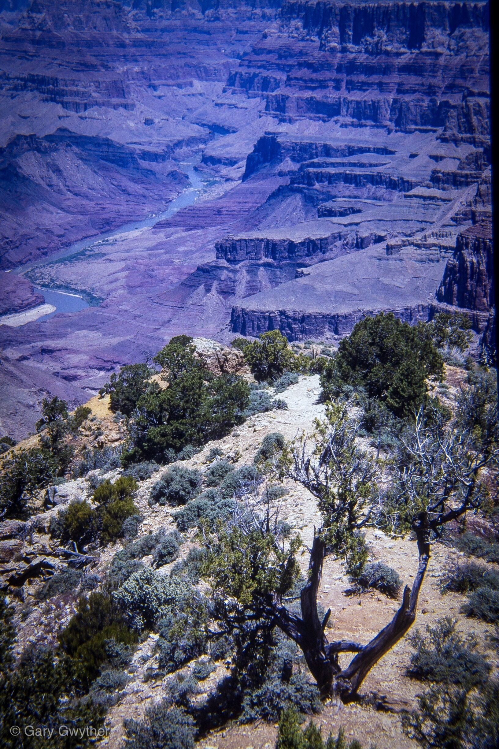 Grand Canyon USA. Definitely worth a visit