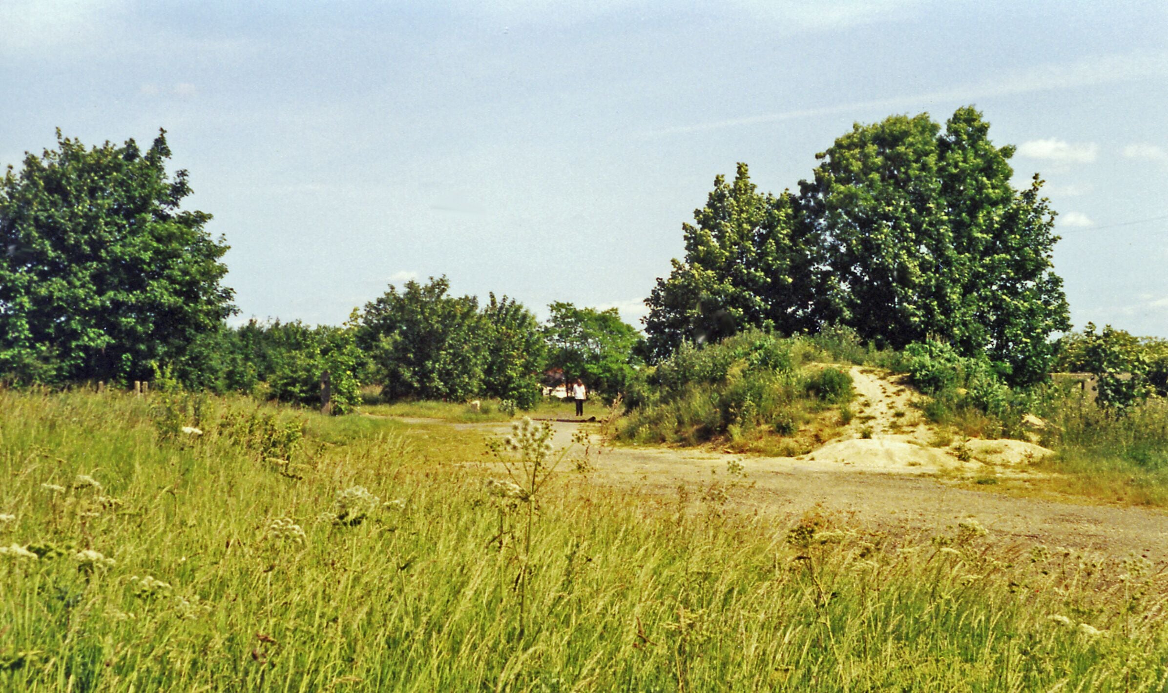 Site of Haverhill station, 1995. View SE, towards Sudbury and Marks Tey: ex-GER Cambridge - Haverhaill - Sudbury - Marks Tey line (closed 6/3/67), also, until 30/11/61, the ex-Colne Valley & Halstead line to Chappel & Wakes Colne. Nothing much left in 1995?!