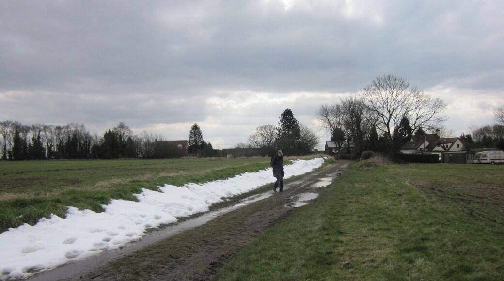Stour Valley Path, Great Wratting.