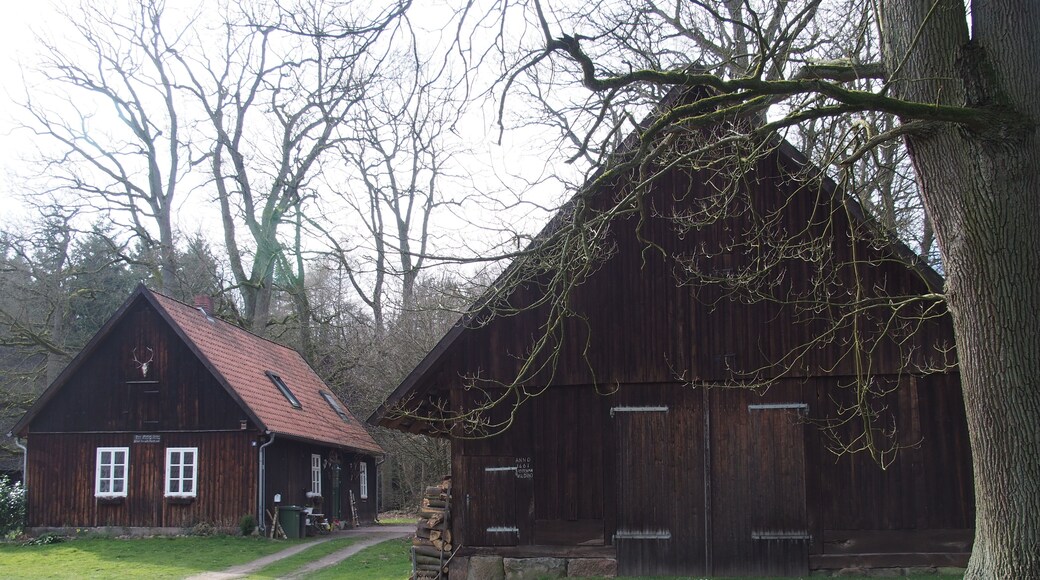 Scheune von 1661 auf Bauernhof in Mittelstendorf (Soltau)