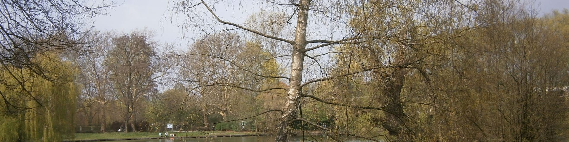 Der Obersee im Berliner Ortsteil Alt-Hohenschönhausen vom Südufer, dem Hönower Weg aus zum Westufer gesehen.