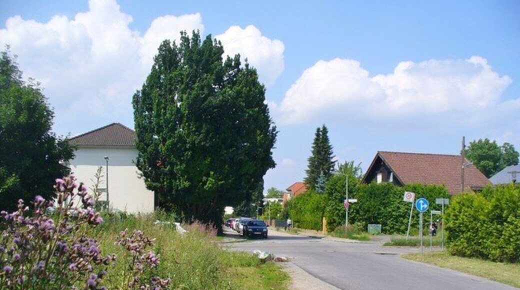 Gartenstadt Grossziethen - Jahnstrasse