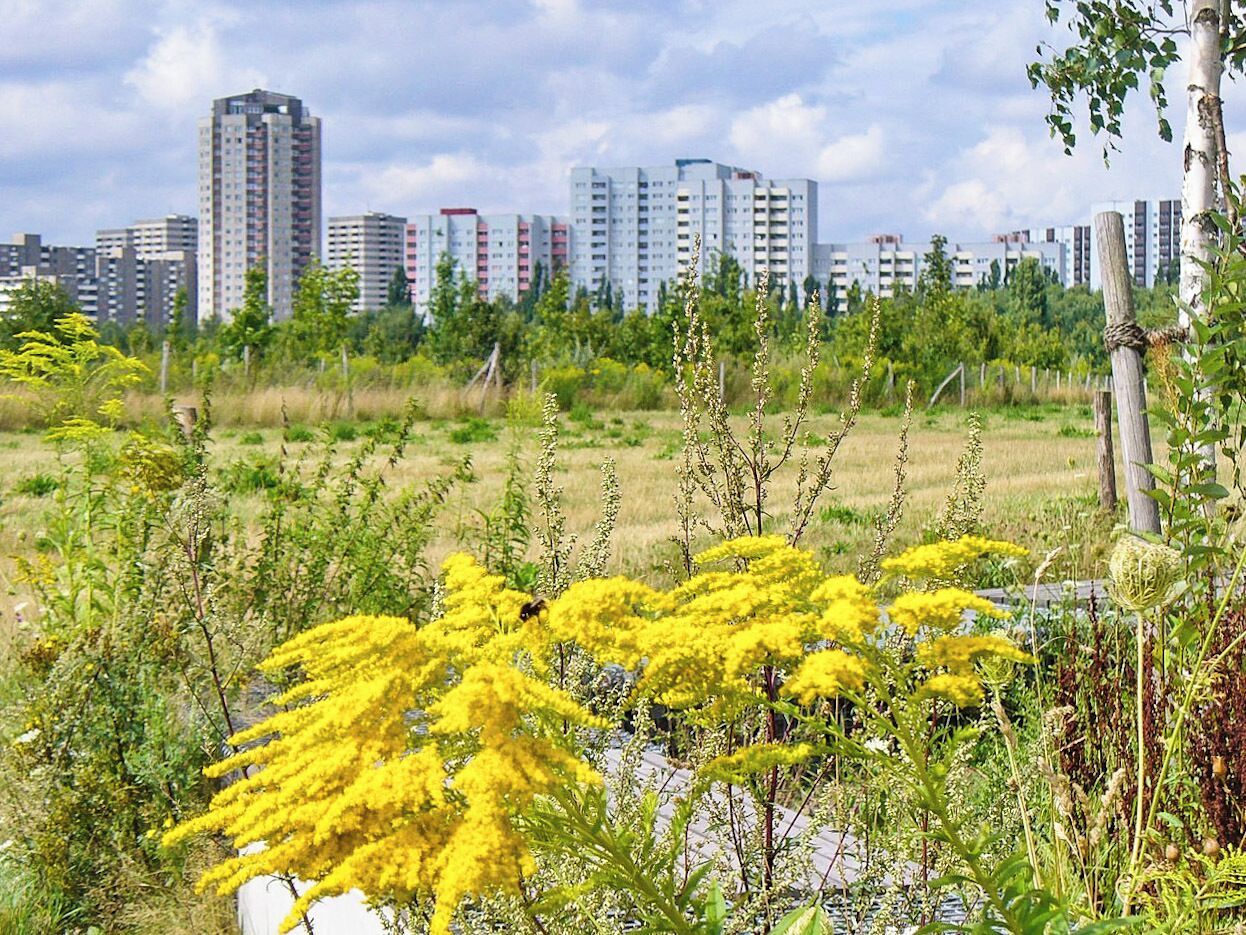 Berlin - Gropiusstadtblick (Prospect of Gropius City)