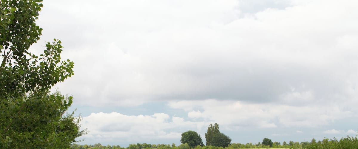 A rural path leading through a field with trees and a cloudy sky.