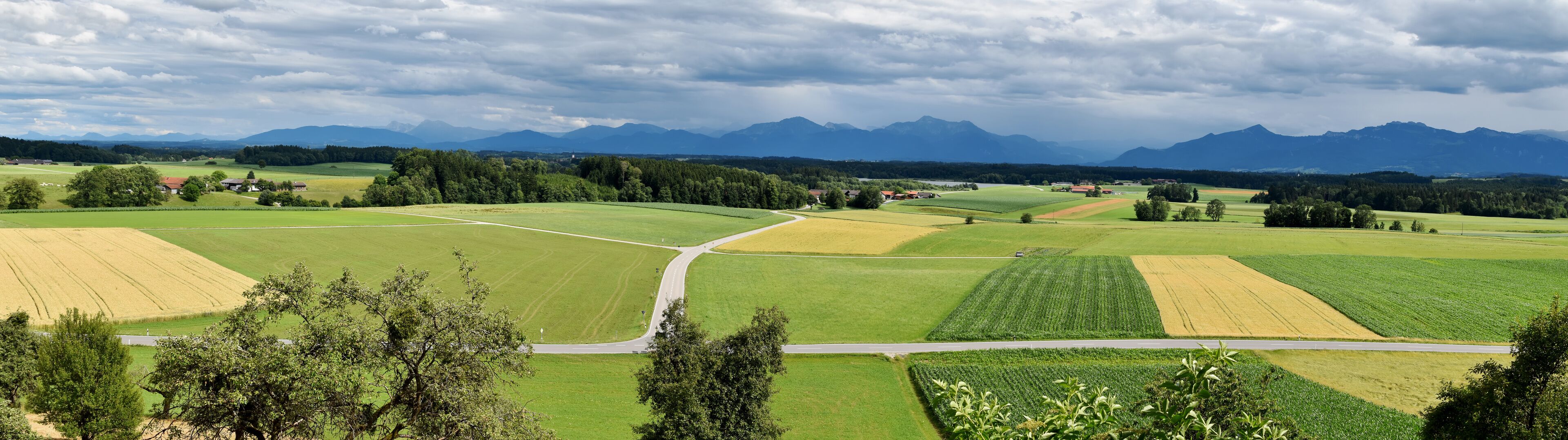 バート エンドルフ