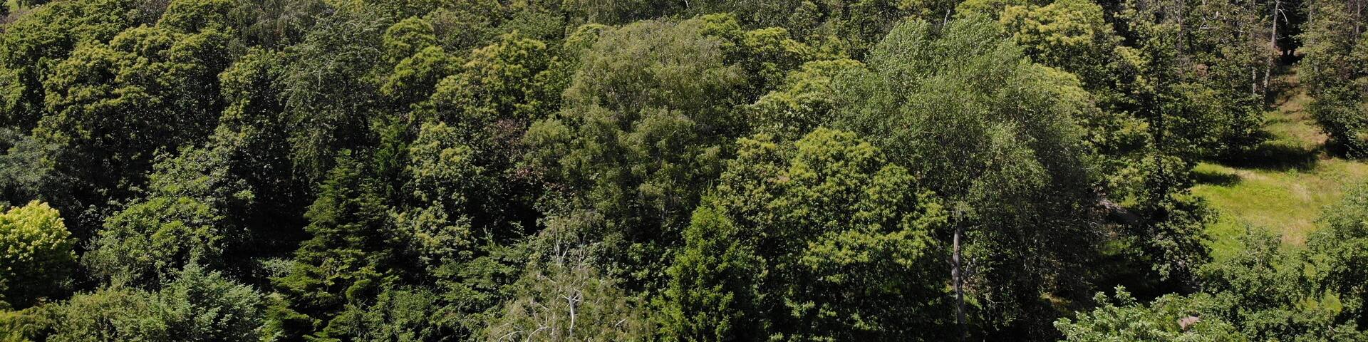 Drohnenaufnahme vom Pfälzerwald mit der Villa Ludwigshöhe und der Rietburg im Hintergrund