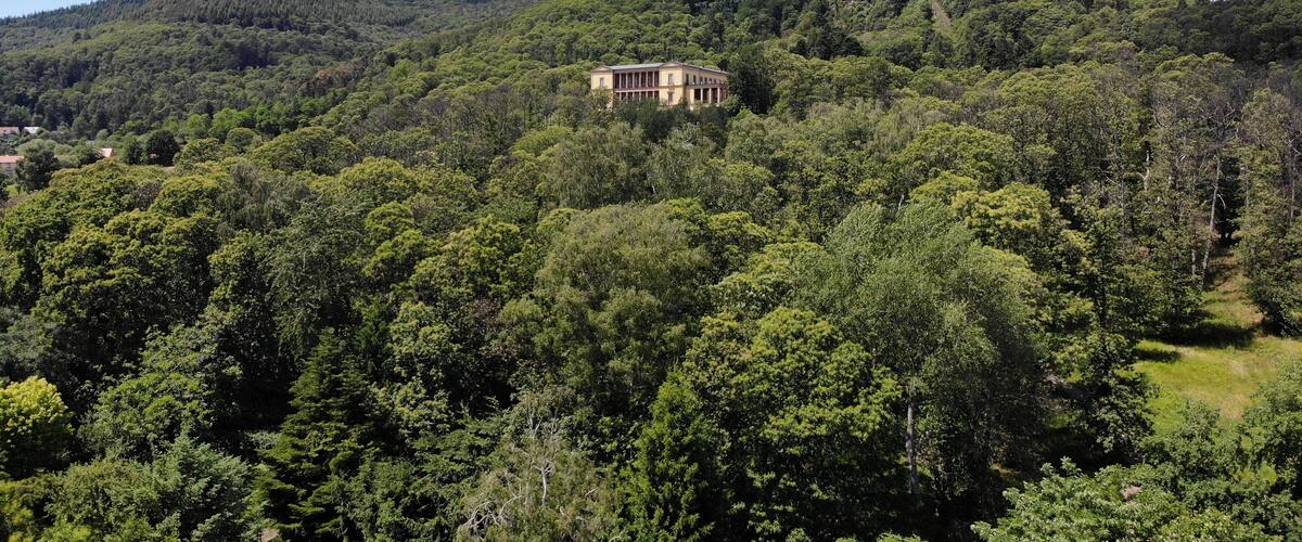 A house on a hill surrounded by dense forest.