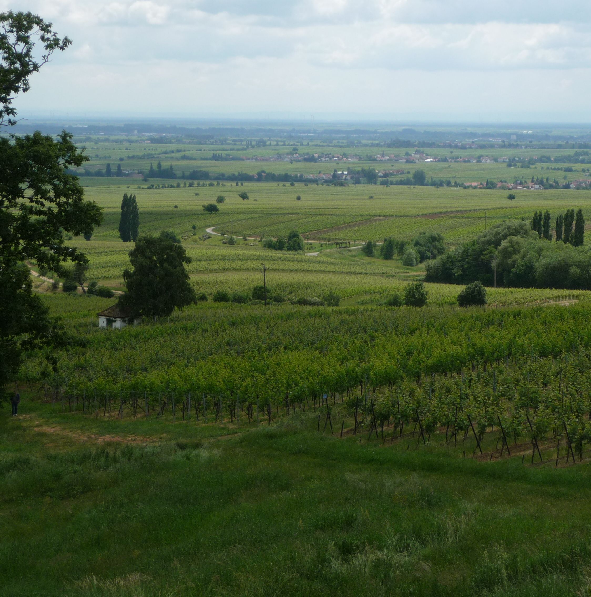 Blick von der Villa Ludwigshöhe