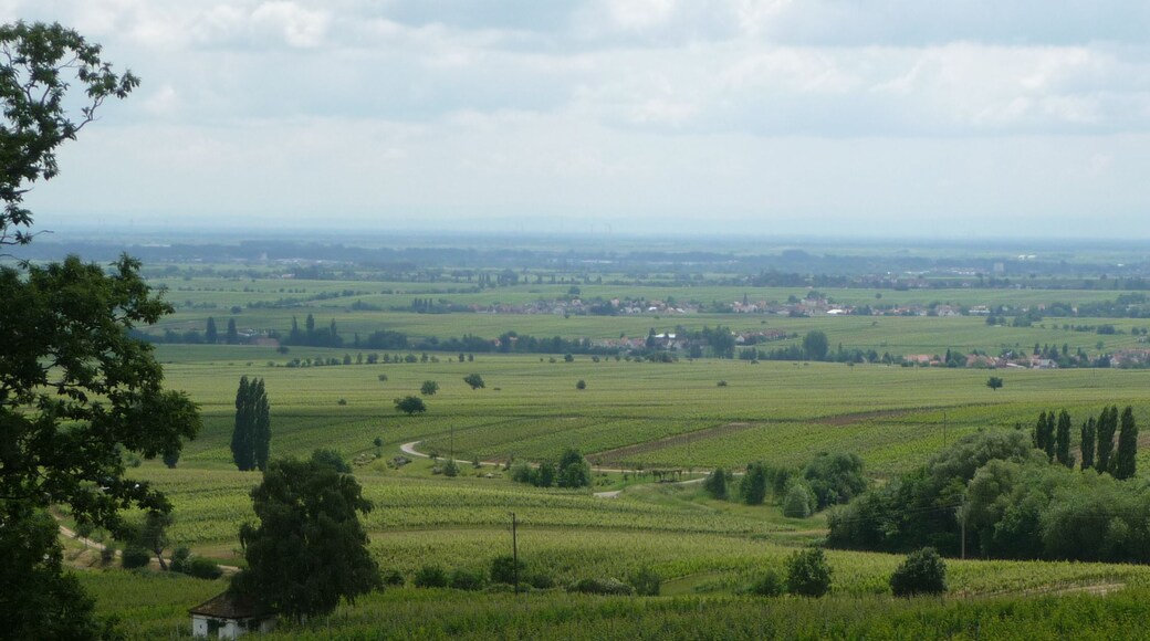 Blick von der Villa Ludwigshöhe
