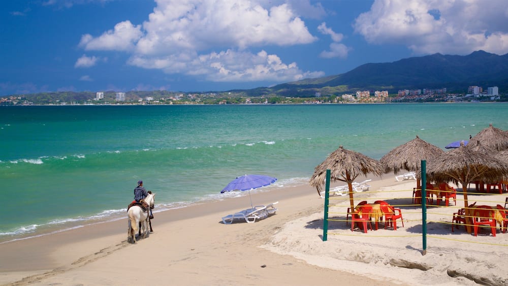 Mexico featuring general coastal views, tropical scenes and horseriding