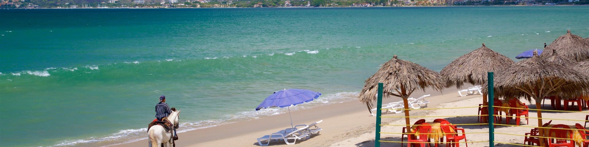 Mexico featuring general coastal views, tropical scenes and horseriding