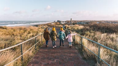 Young kids walking together towards the city and the sea, during their family vacation in the dunes of Domburg, The Netherlands