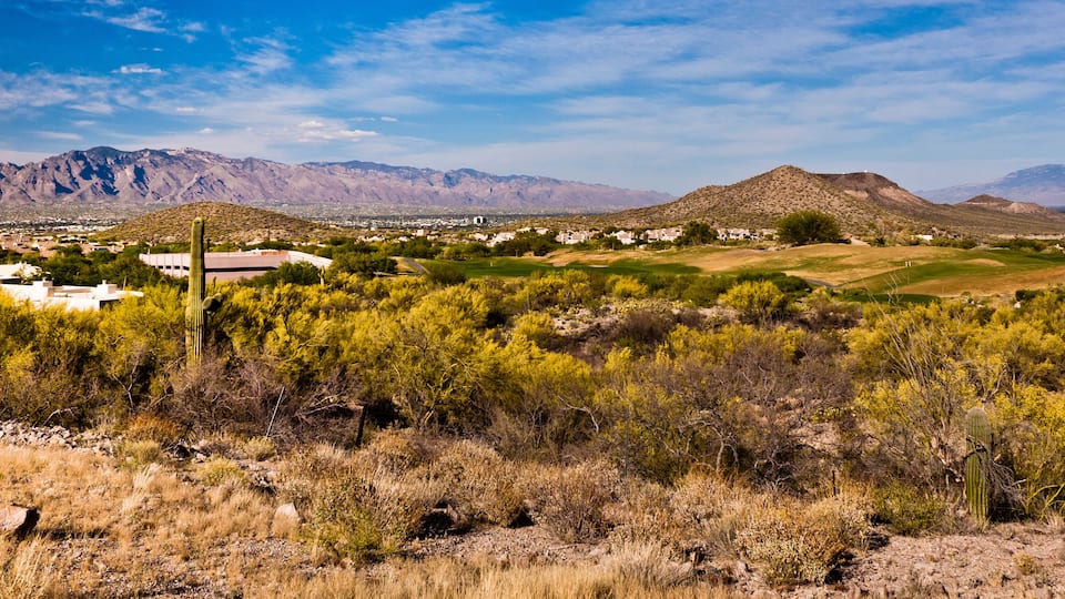 A desert landscape with mountains, cacti, and a golf course.