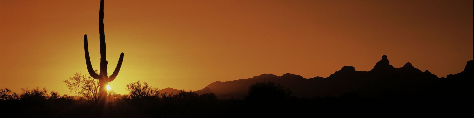 This is Organ Pipe Cactus National Monument at sunrise. Silhouetted is a Saguaro cactus.
