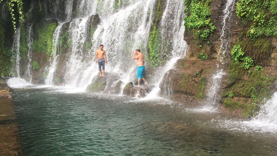 A waterfall cascading into a clear pool surrounded by lush greenery.