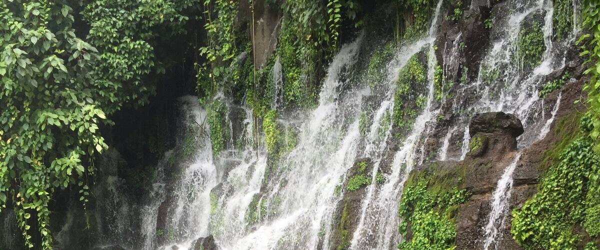 A waterfall cascading into a clear pool surrounded by lush greenery.