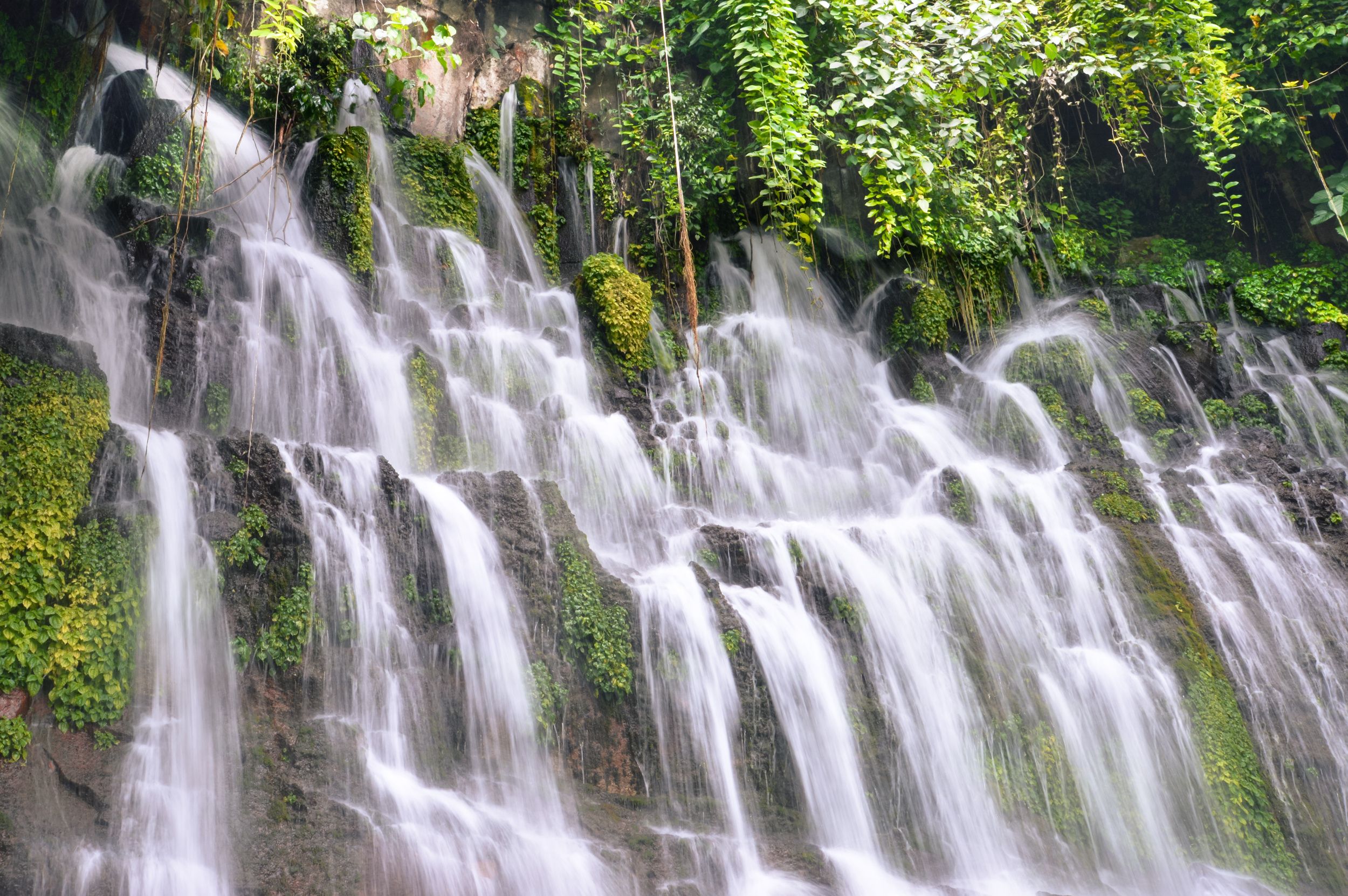 Juayua