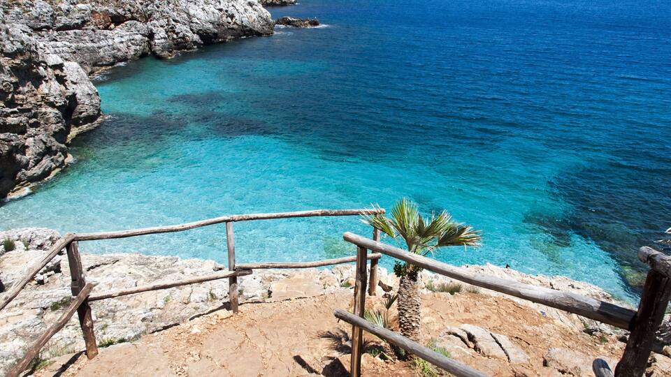 A rocky coastline with clear turquoise waters and a palm tree.