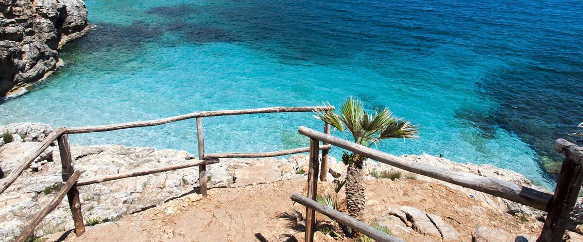 A rocky coastline with clear turquoise waters and a palm tree.