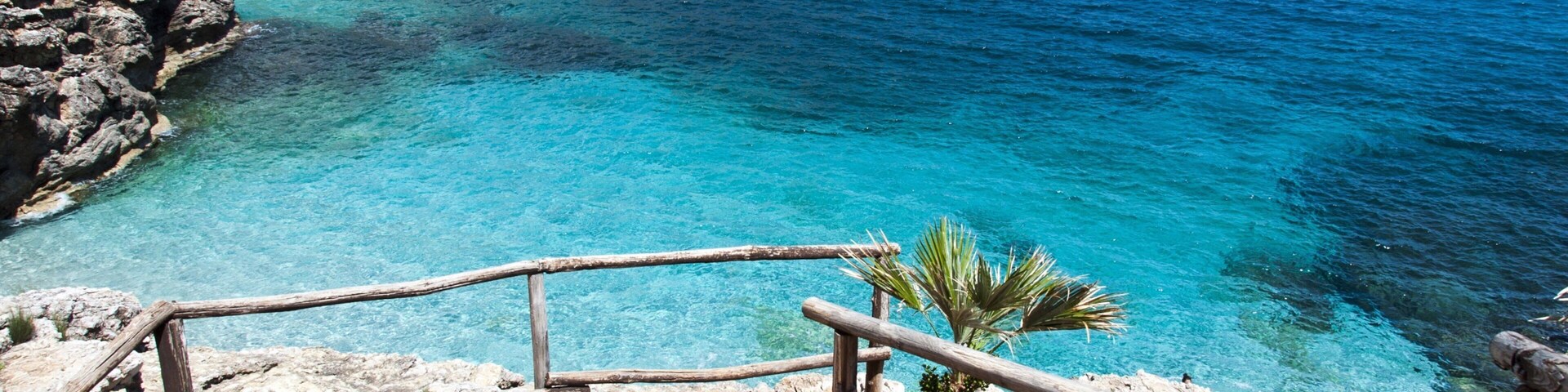 A rocky coastline with clear turquoise waters and a palm tree.