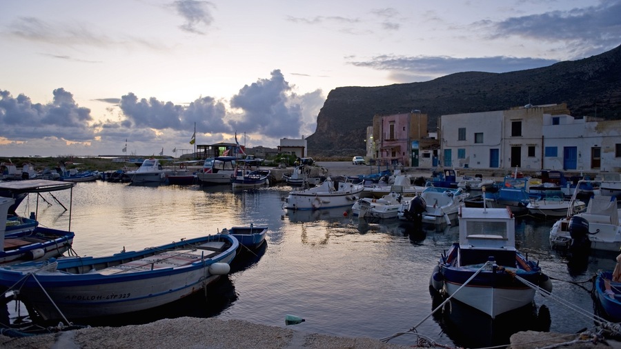 Favignana showing a marina