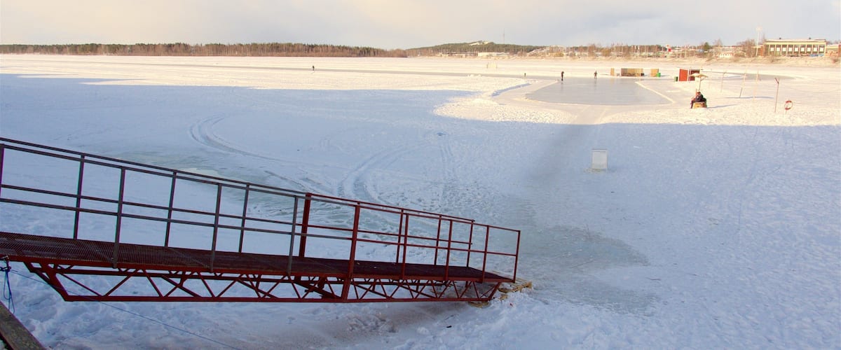 A snowy landscape with a frozen lake, a metal bridge, and distant buildings.