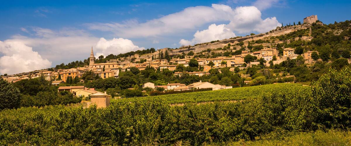 A hillside town with historic buildings, a prominent church tower, and vineyards.