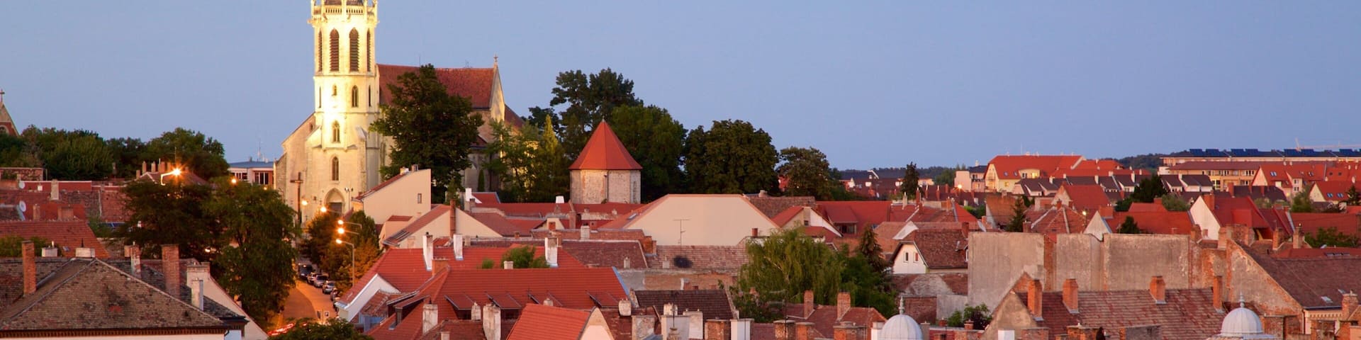 Sopron showing a city