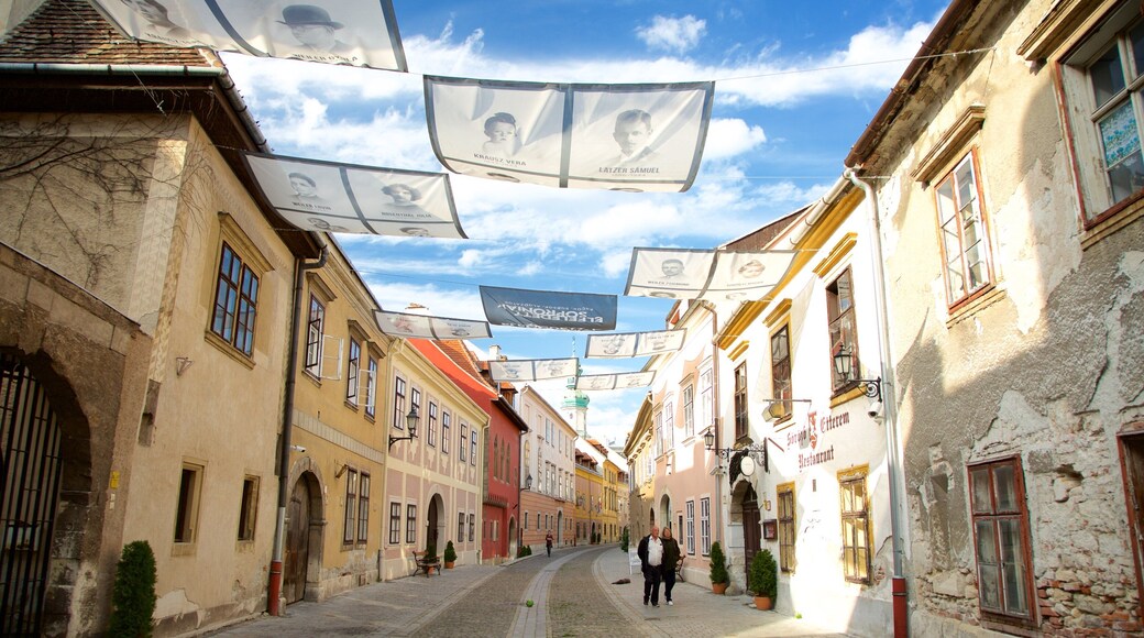 Sopron og byder på gadeliv og kulturarvsgenstande