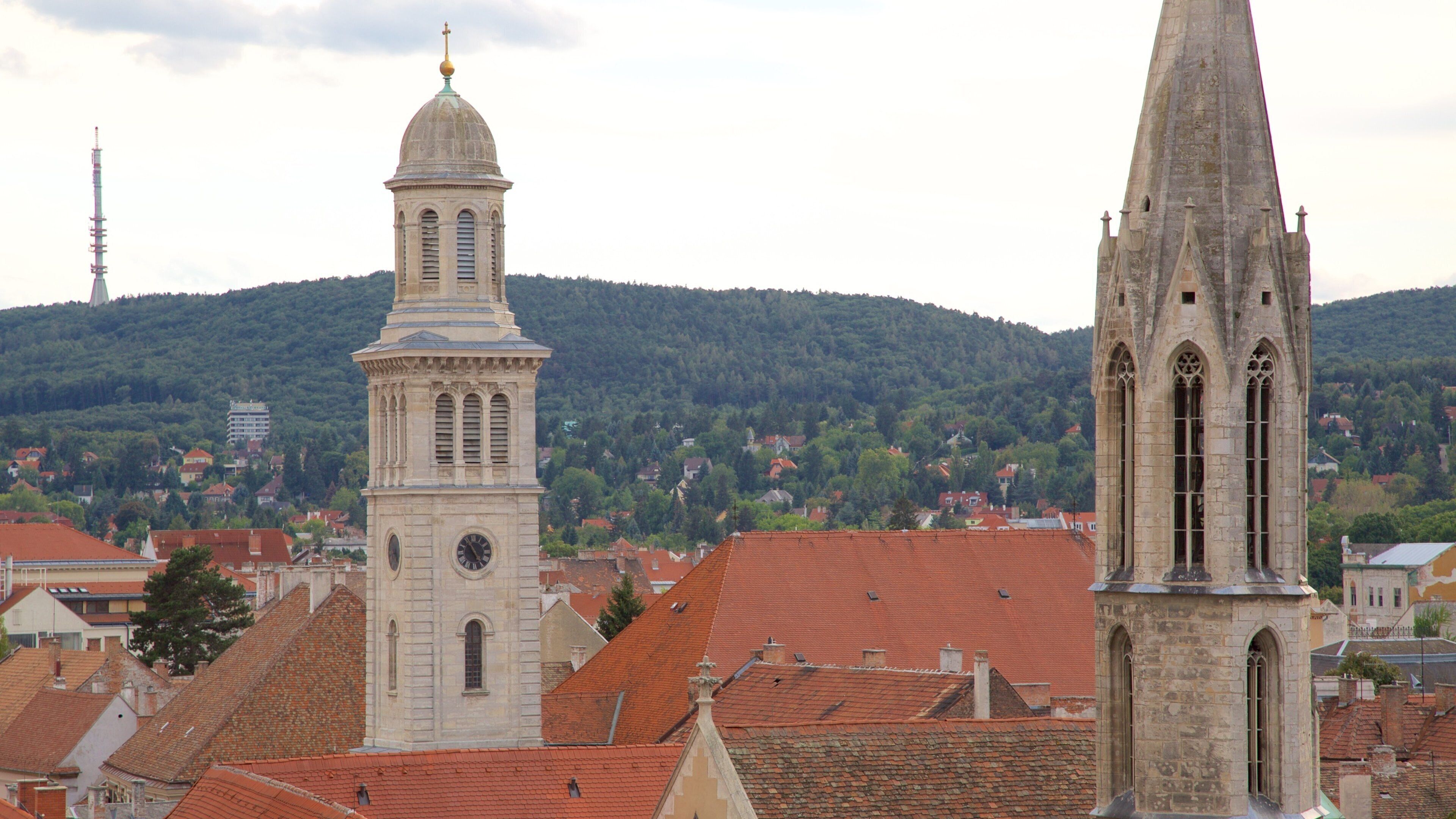 Sopron showing a church or cathedral and heritage architecture
