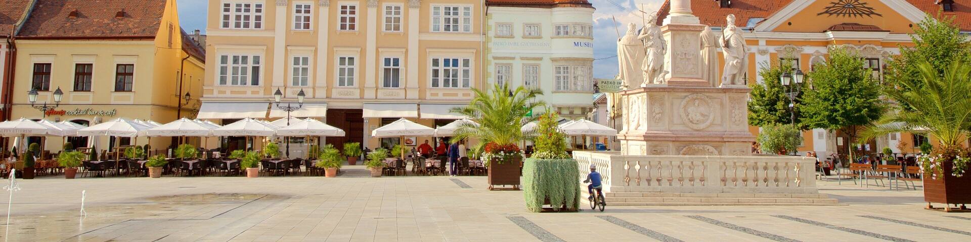 Gyor which includes a monument and a square or plaza