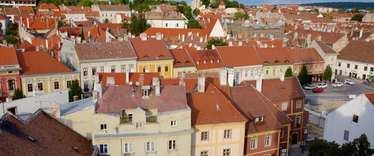 Sopron showing heritage elements and a city